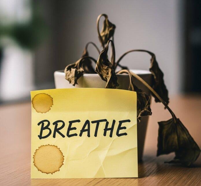 Crumpled "BREATHE" post-it, coffee stains, dying houseplant.