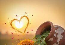 Ayurvedic Superfoods: Enhancing Vitality with Traditional Ingredients "Turmeric, ashwagandha, curry leaves, and saffron in a sunrise glow."